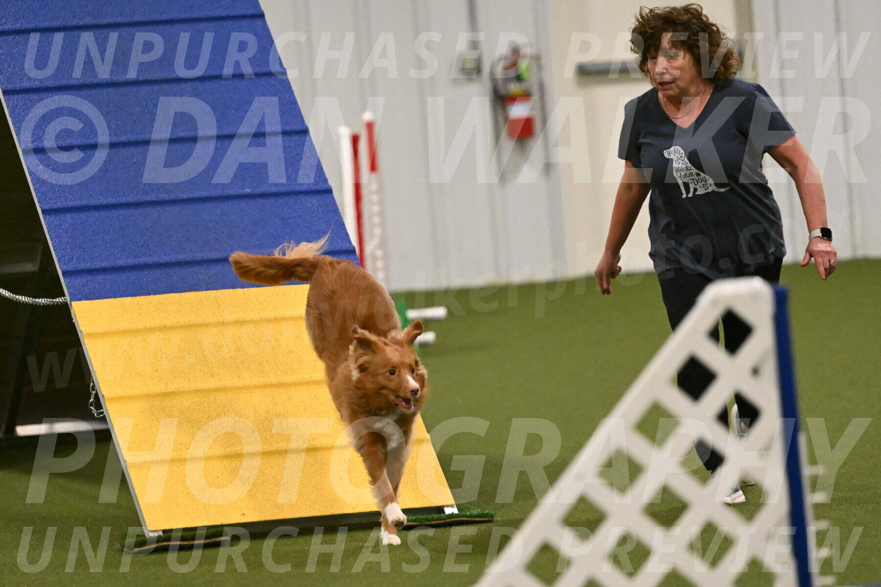 Basil-Cindy-Fink-02184