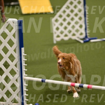 Basil-Cindy-Fink-02186