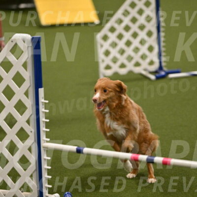 Basil-Cindy-Fink-02187