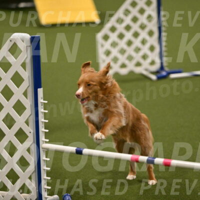 Basil-Cindy-Fink-02188