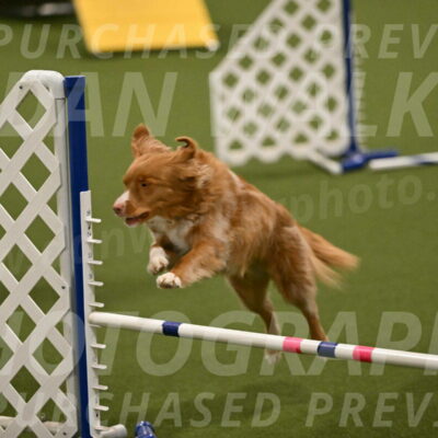 Basil-Cindy-Fink-02189