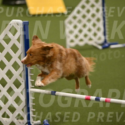 Basil-Cindy-Fink-02190