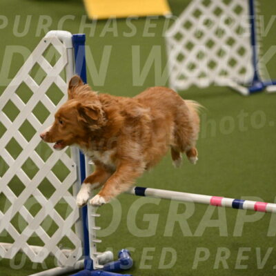 Basil-Cindy-Fink-02191