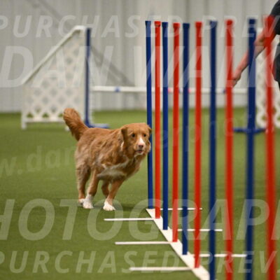 Basil-Cindy-Fink-02192