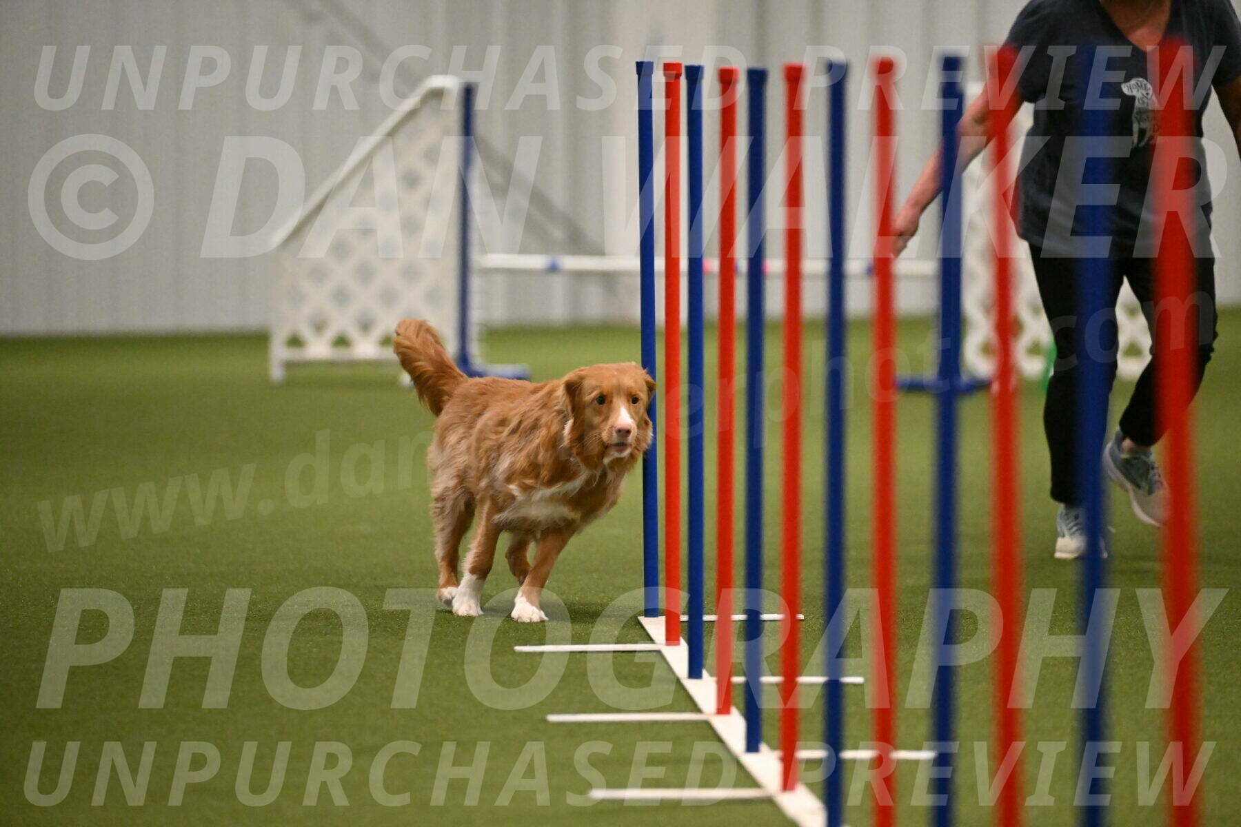 Basil-Cindy-Fink-02192