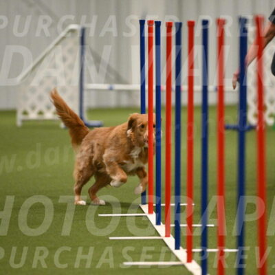 Basil-Cindy-Fink-02193