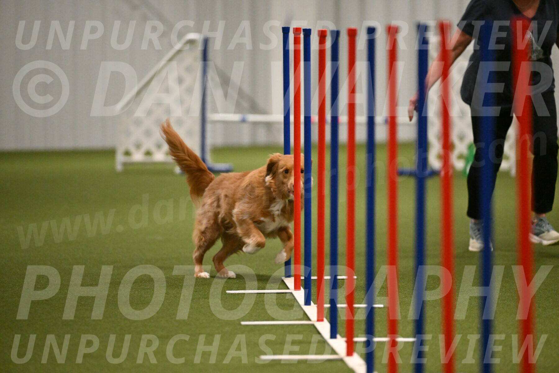 Basil-Cindy-Fink-02193