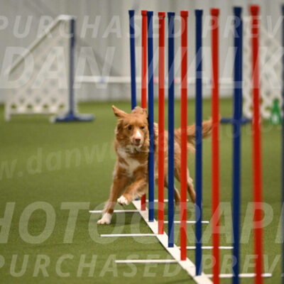 Basil-Cindy-Fink-02194