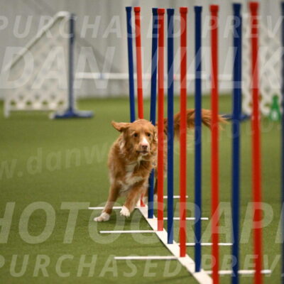 Basil-Cindy-Fink-02195