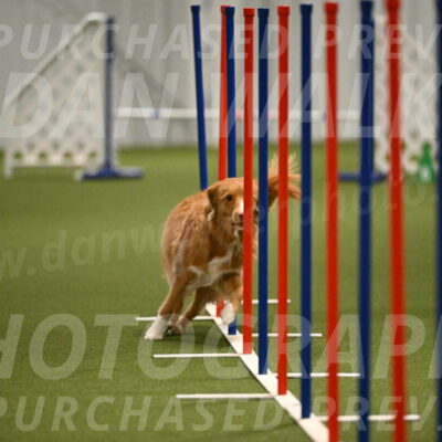 Basil-Cindy-Fink-02196