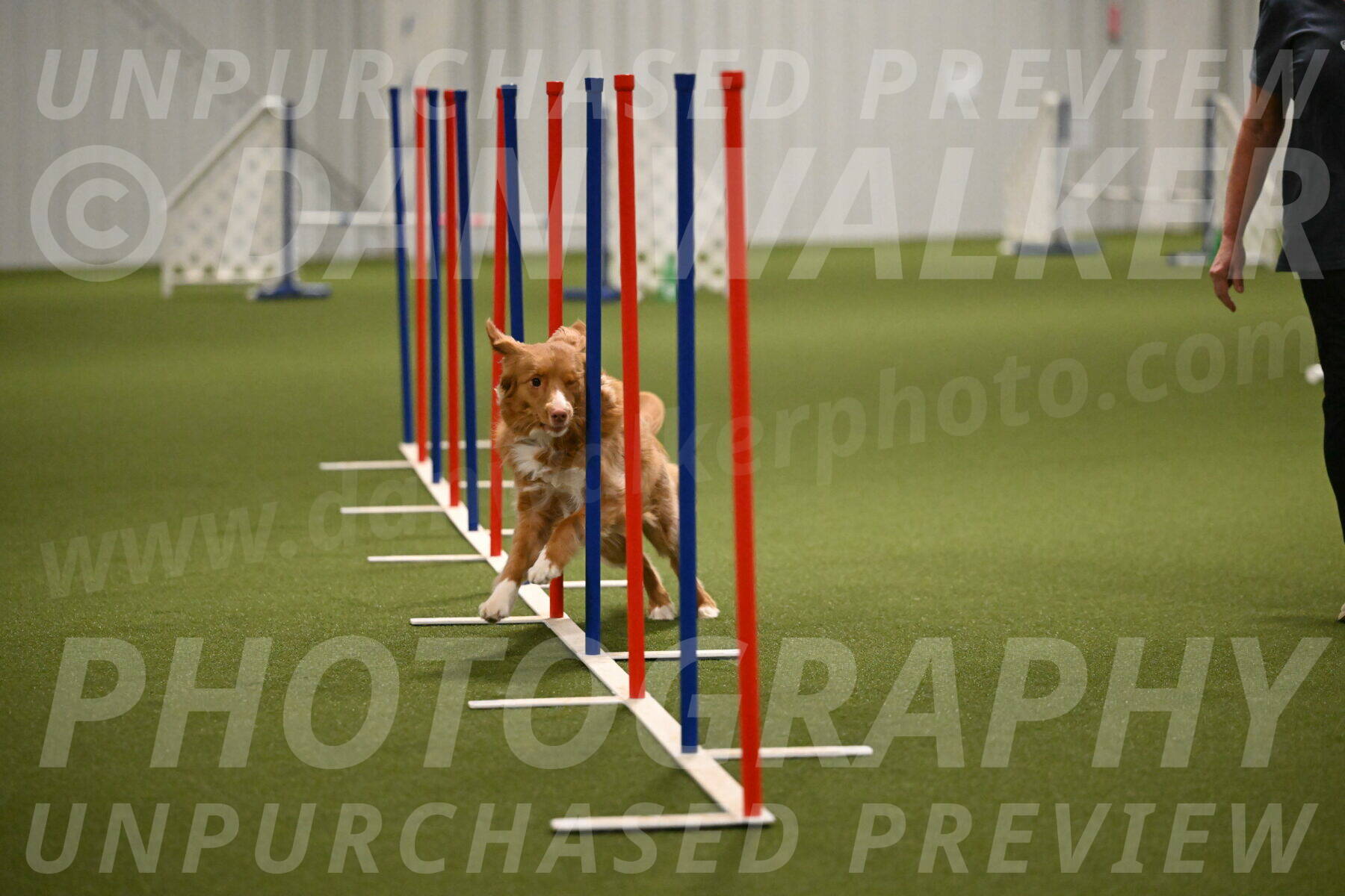 Basil-Cindy-Fink-02202