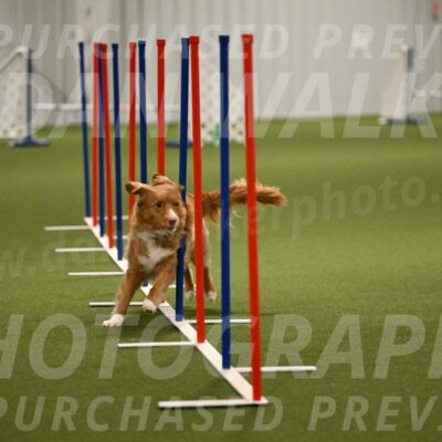 Basil-Cindy-Fink-02203