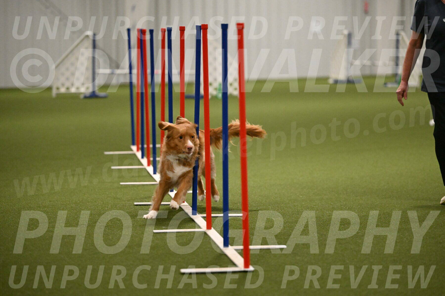 Basil-Cindy-Fink-02203