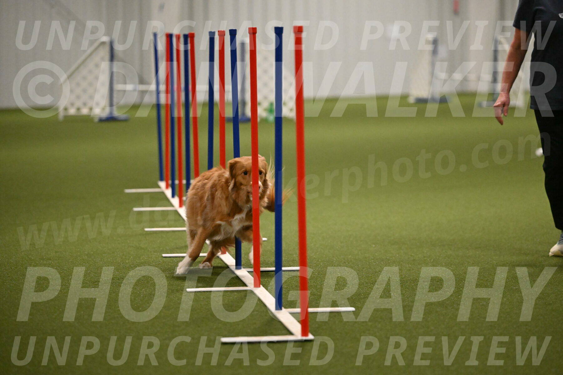 Basil-Cindy-Fink-02204