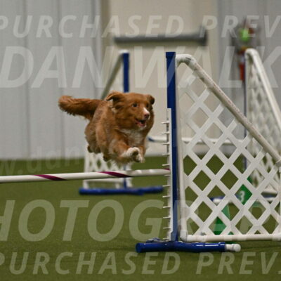 Basil-Cindy-Fink-02205