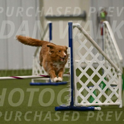 Basil-Cindy-Fink-02206