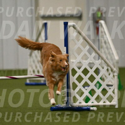 Basil-Cindy-Fink-02207