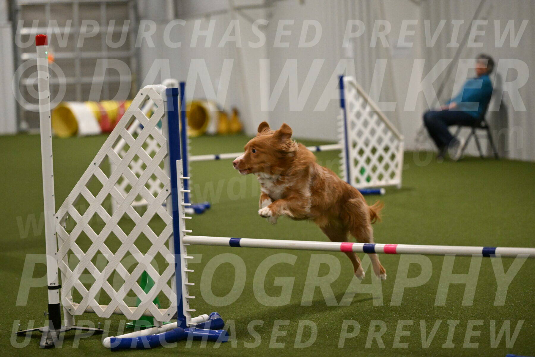 Basil-Cindy-Fink-02208