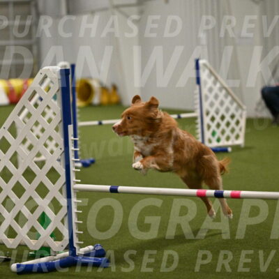 Basil-Cindy-Fink-02208