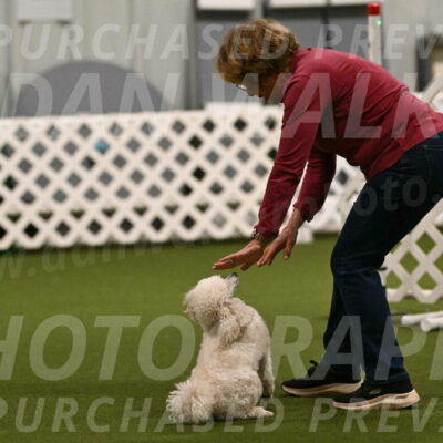 Beetle-Bug-Karen-A-Miller-12323