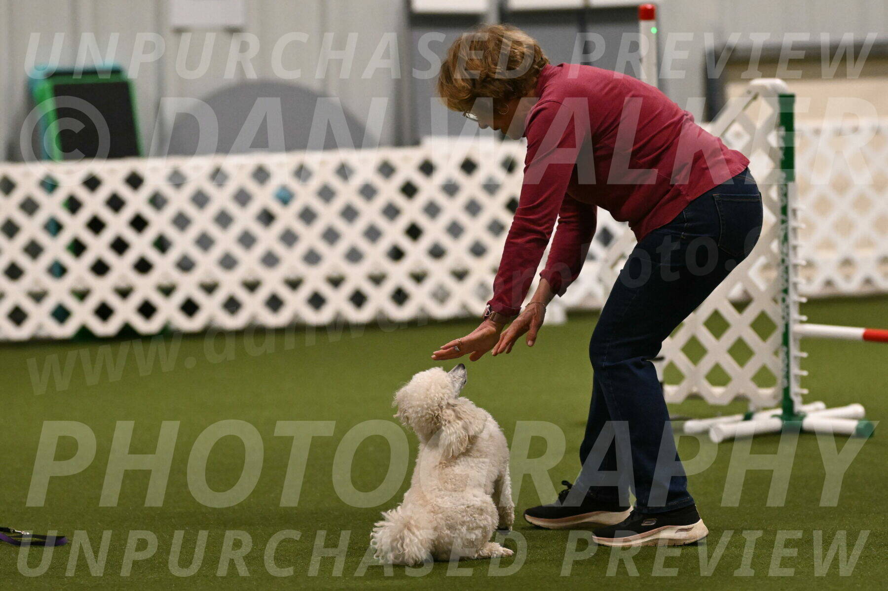 Beetle-Bug-Karen-A-Miller-12323