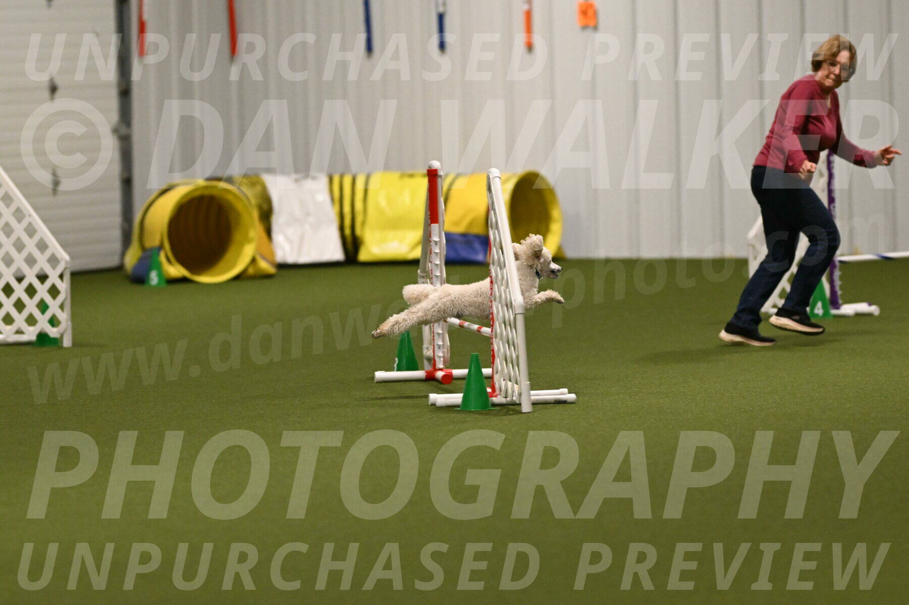 Beetle-Bug-Karen-A-Miller-12335