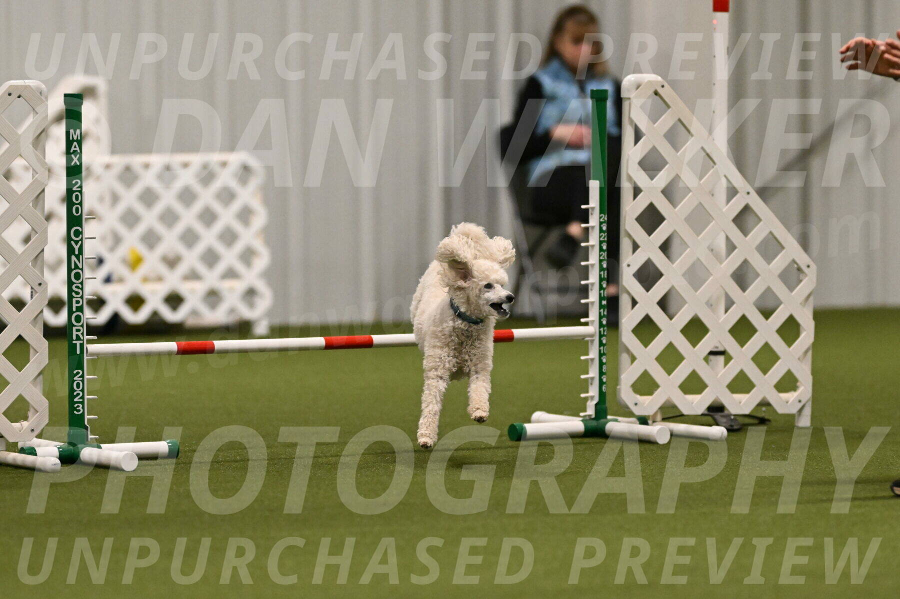 Beetle-Bug-Karen-A-Miller-12362