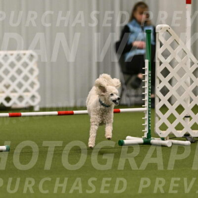 Beetle-Bug-Karen-A-Miller-12362