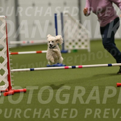 Beetle-Bug-Karen-A-Miller-12407