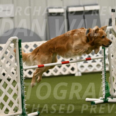 Blake-Ramona-Cartwright-05543
