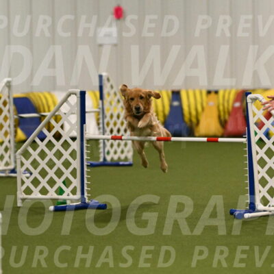Blake-Ramona-Cartwright-05550