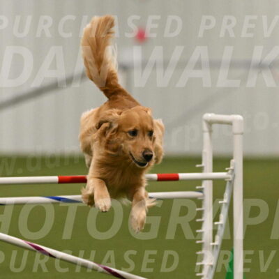 Blake-Ramona-Cartwright-05574