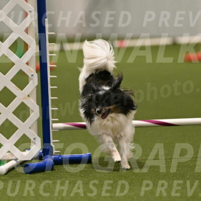 Blitz-Melinda-Sanford-11537
