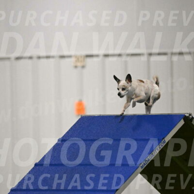 Bob-Hope-Margaret-Poulin-11226