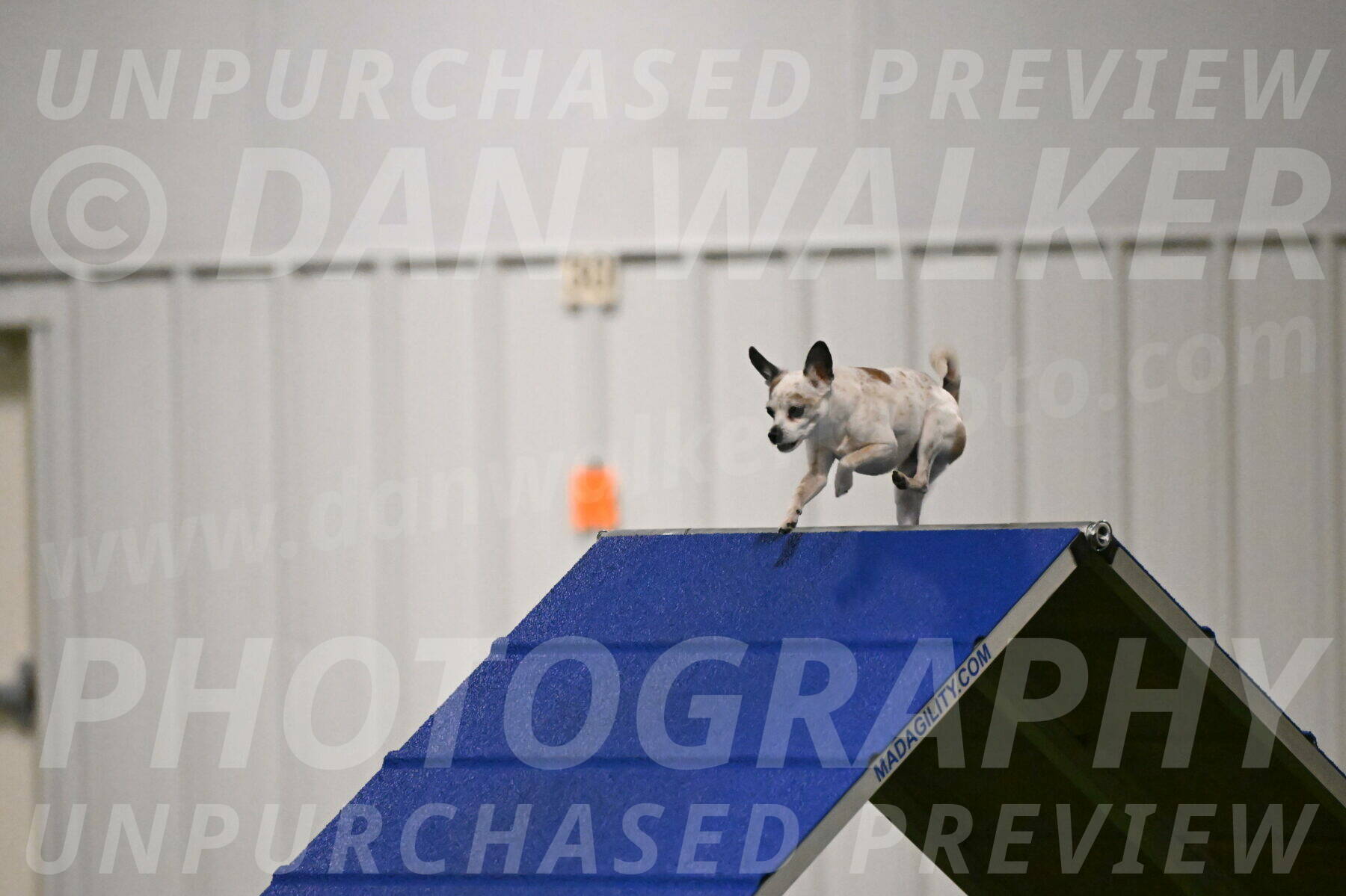 Bob-Hope-Margaret-Poulin-11226