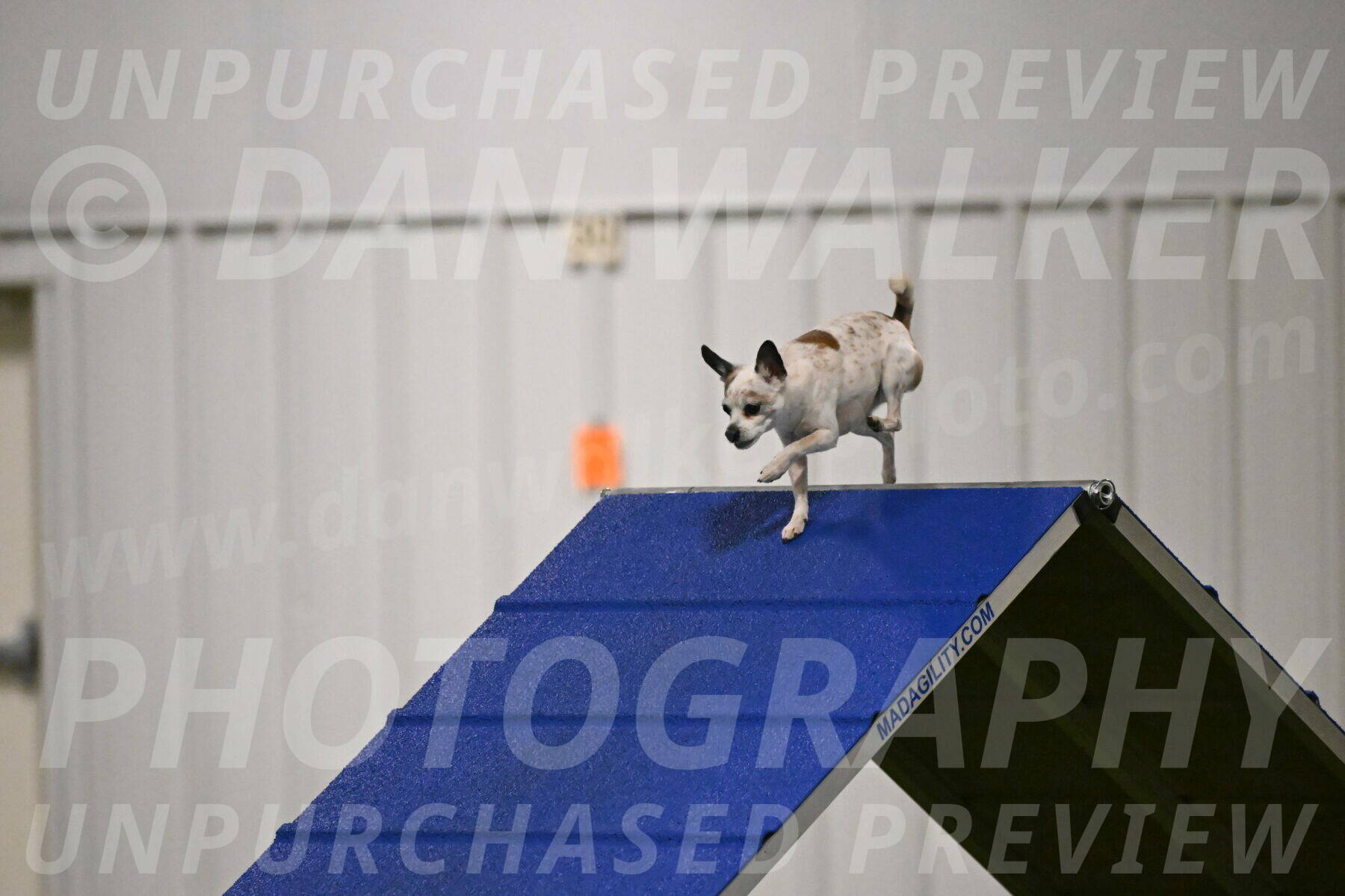 Bob-Hope-Margaret-Poulin-11227