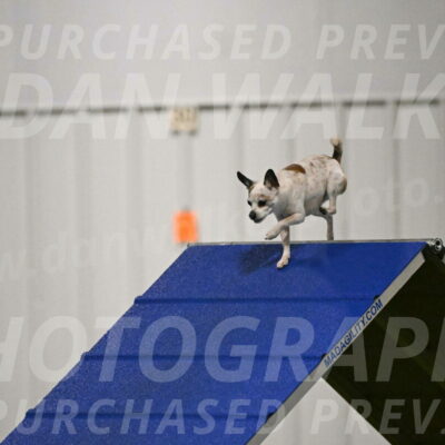 Bob-Hope-Margaret-Poulin-11227