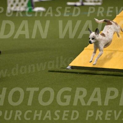 Bob-Hope-Margaret-Poulin-11228