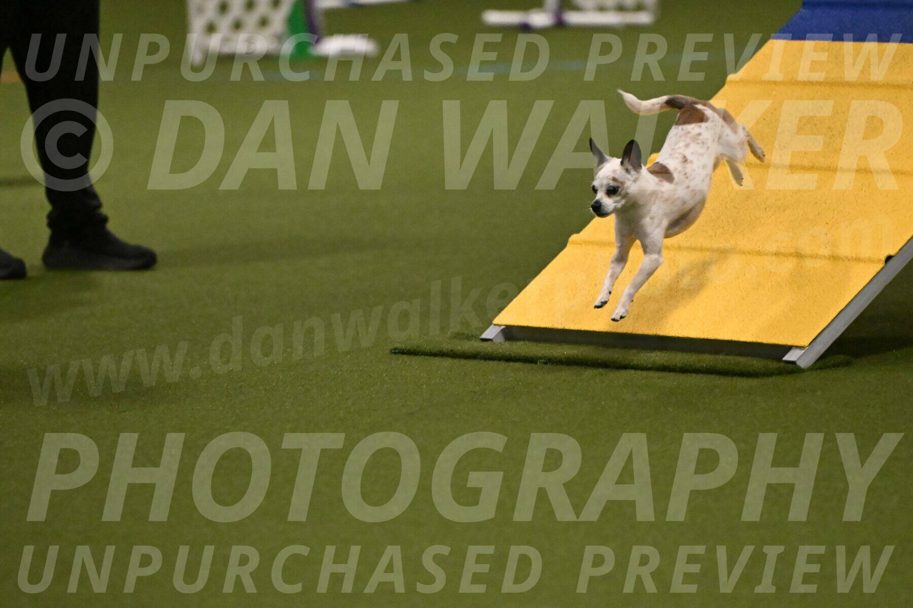 Bob-Hope-Margaret-Poulin-11228