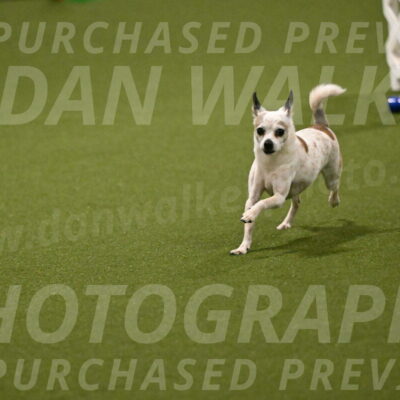 Bob-Hope-Margaret-Poulin-11229