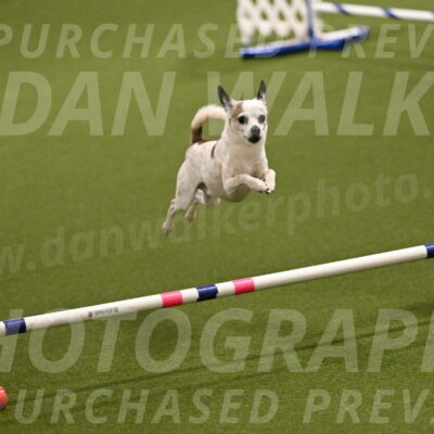 Bob-Hope-Margaret-Poulin-11230