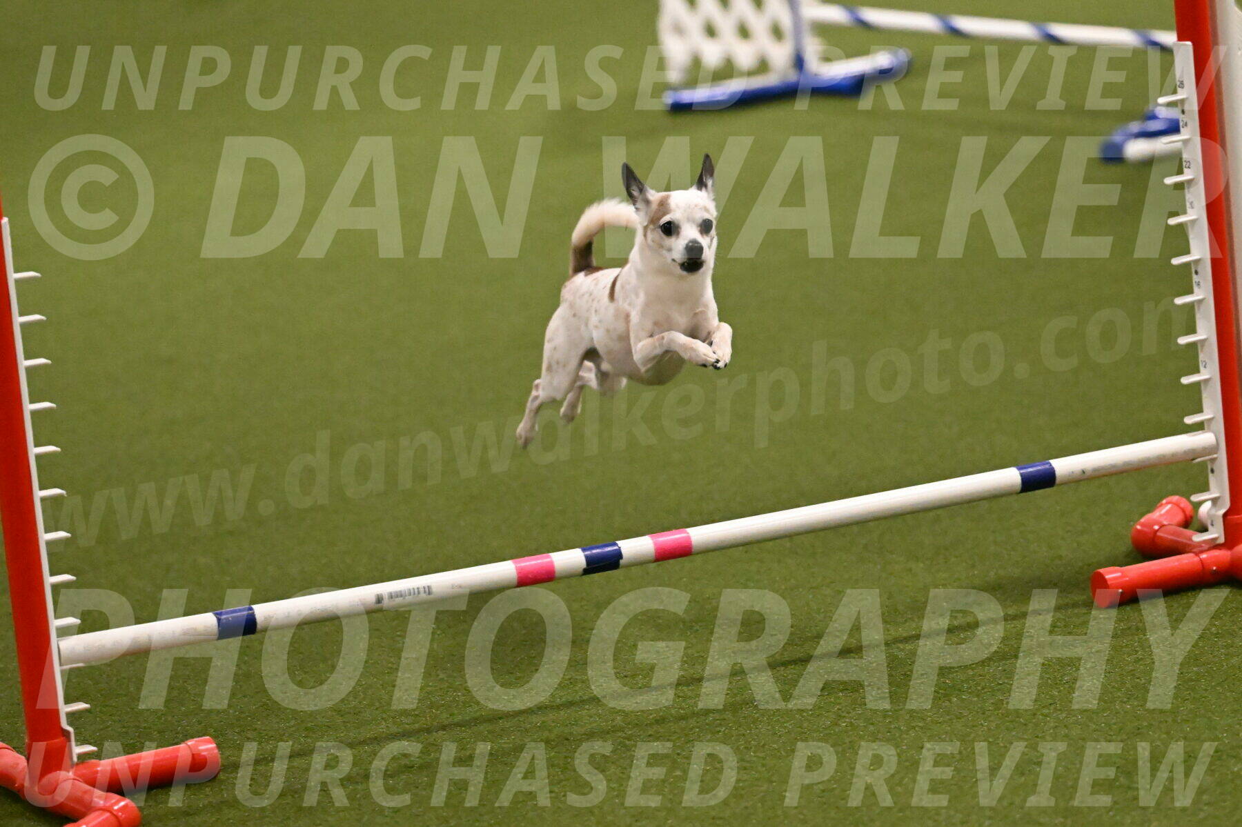 Bob-Hope-Margaret-Poulin-11230