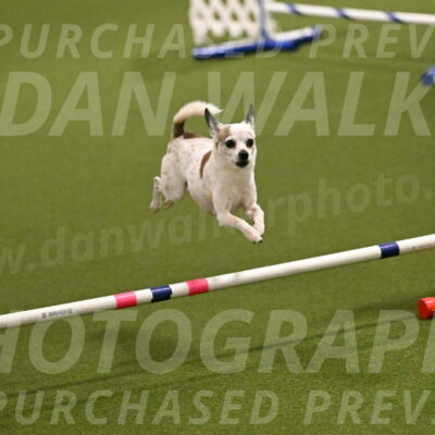 Bob-Hope-Margaret-Poulin-11231