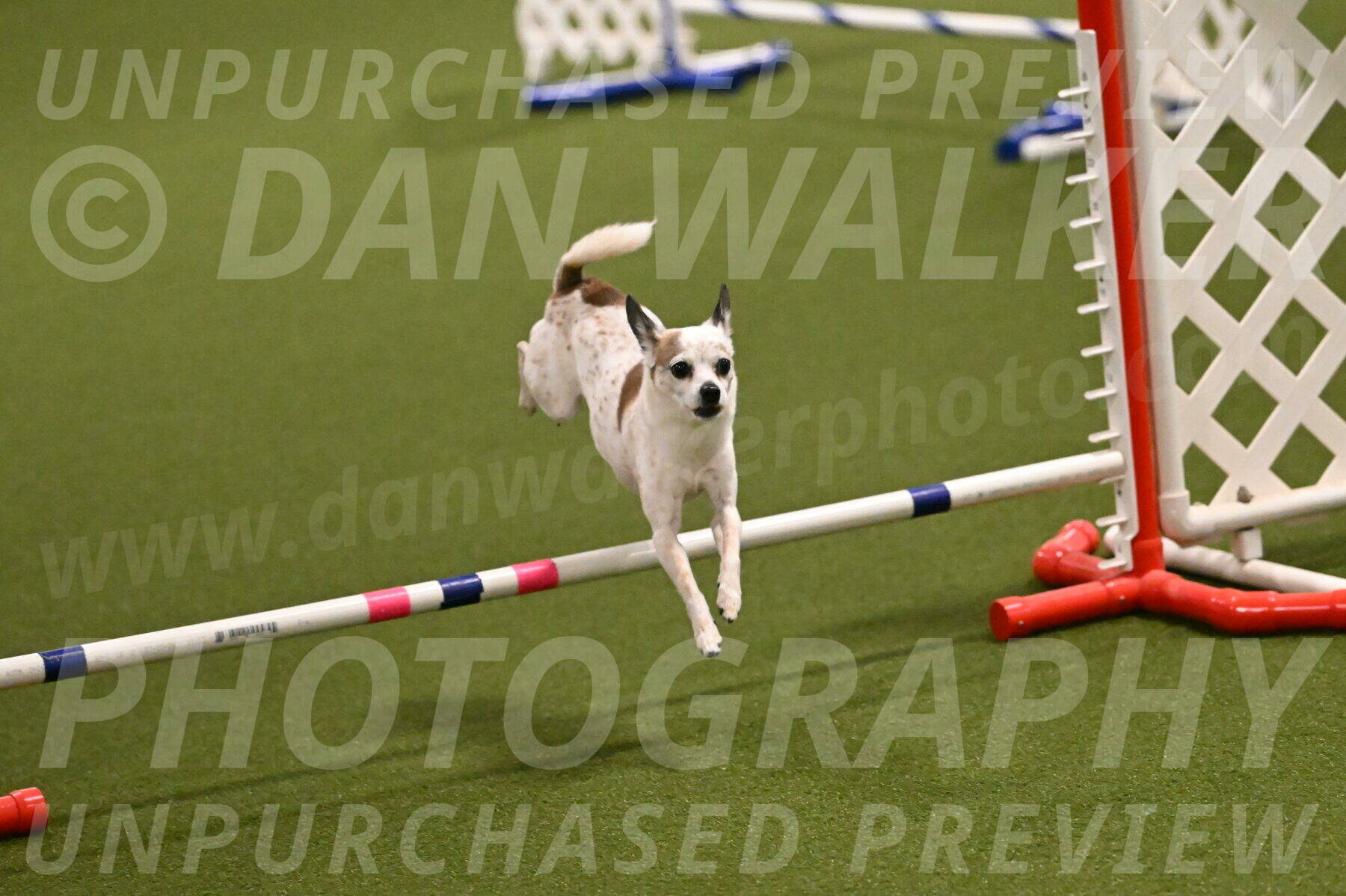 Bob-Hope-Margaret-Poulin-11232