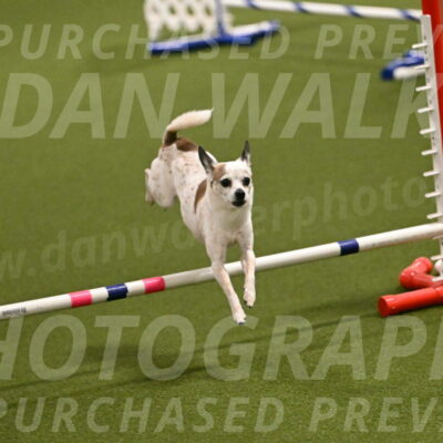 Bob-Hope-Margaret-Poulin-11232