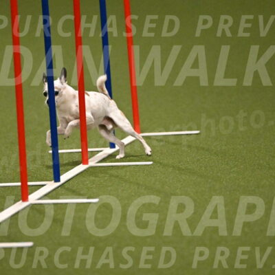 Bob-Hope-Margaret-Poulin-11233