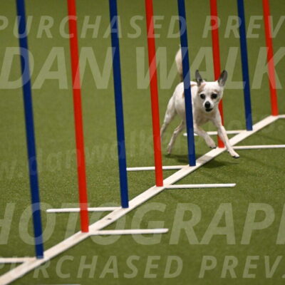 Bob-Hope-Margaret-Poulin-11234