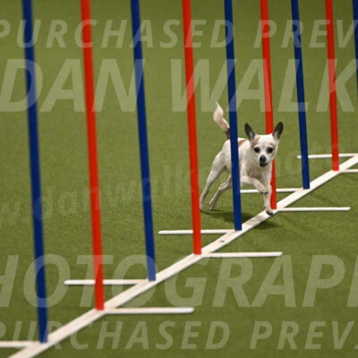 Bob-Hope-Margaret-Poulin-11235