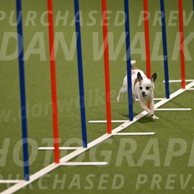 Bob-Hope-Margaret-Poulin-11236