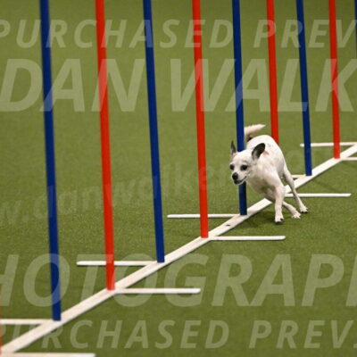 Bob-Hope-Margaret-Poulin-11237